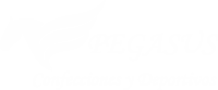 PEGASUS